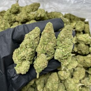 SKUNK
