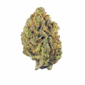 AMNESIA HAZE / Seinsi Amnesia XXL