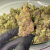 Erba THC